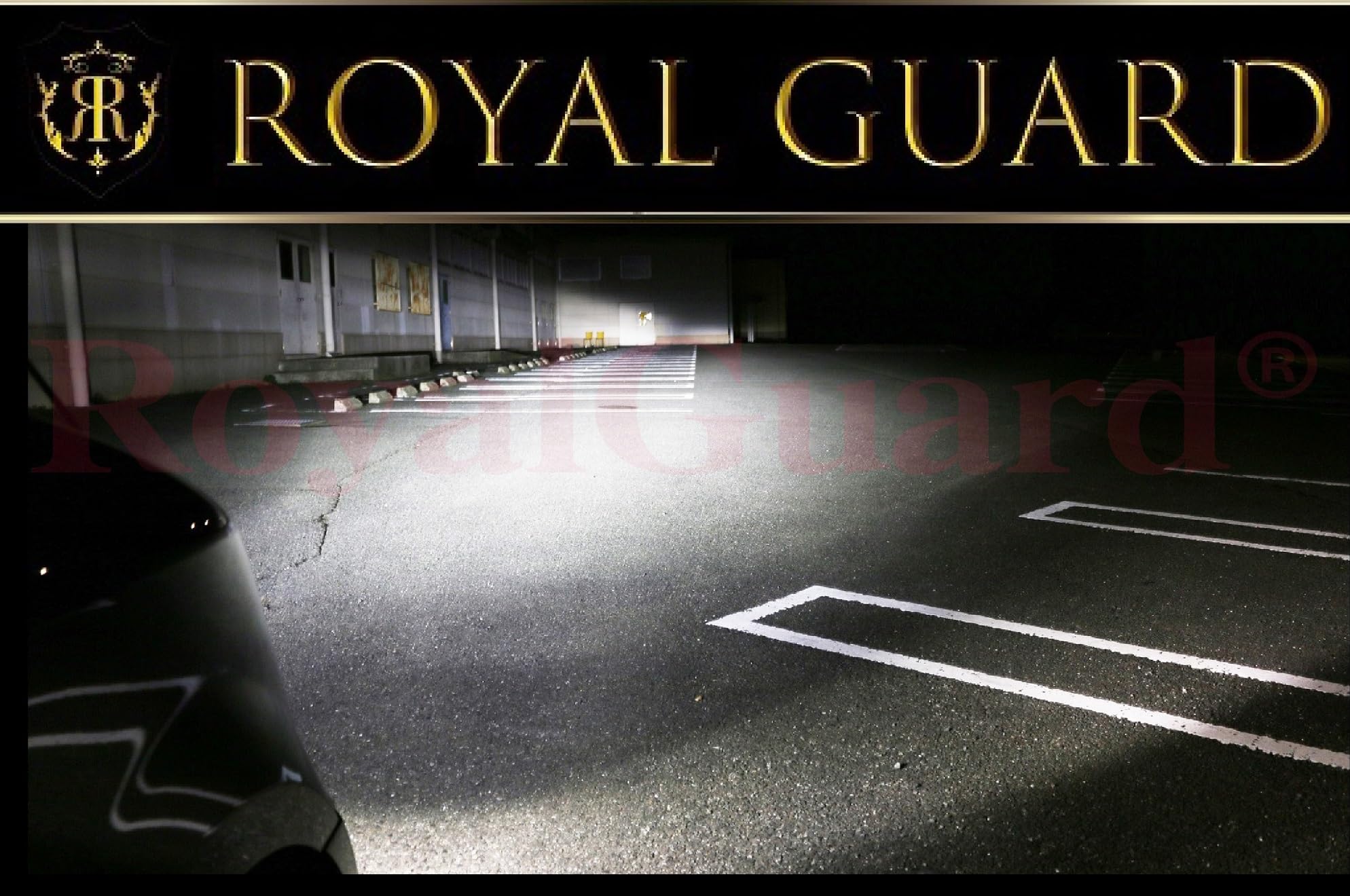  GUARD LEDヘッドライト 2個セット ROYAL GUARD LEDヘッドライト 2個セット 【公式通販】