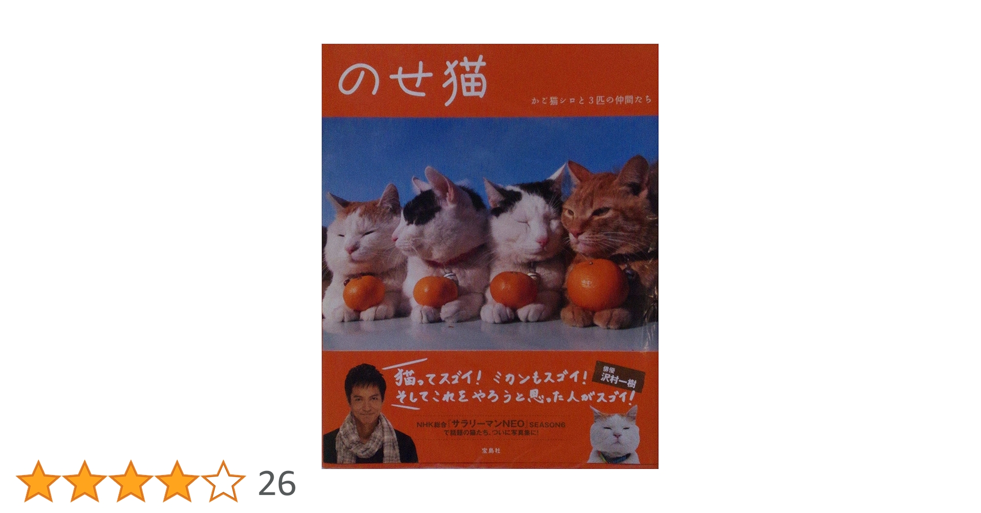 Amazon.co.jp: のせ猫～かご猫シロと3匹の仲間たち : SHIRONEKO: 本