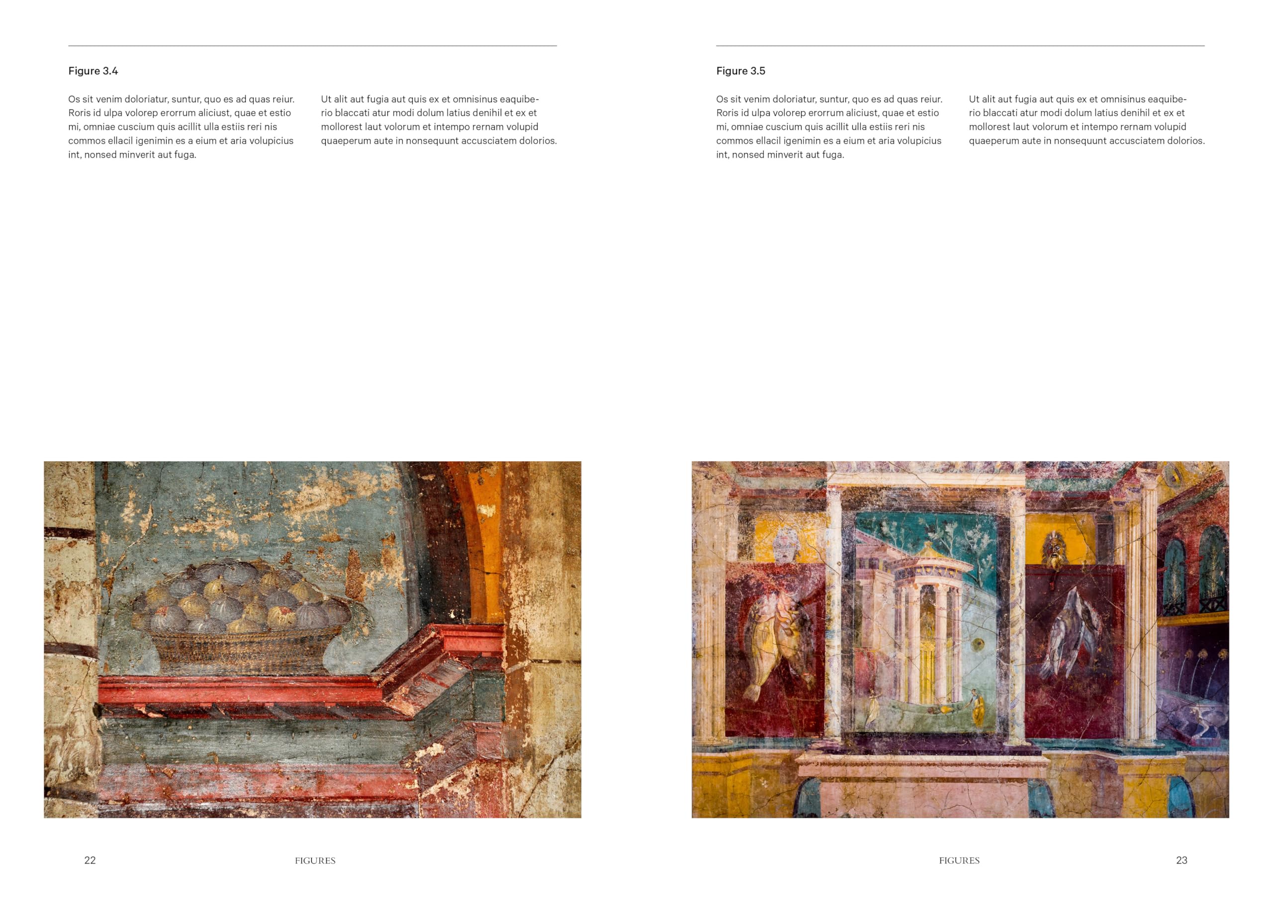 Ancient Roman Villas: The Essential Sourcebook