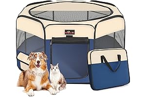 Cat Camp: Unrivaled Haven for Your Feline Friend