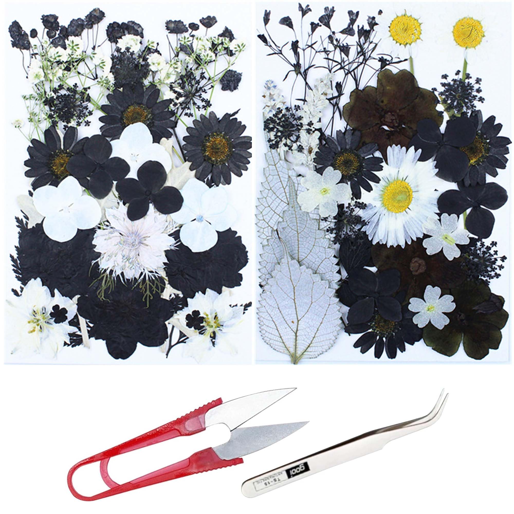 Cayway 82 PCS Natural Dried Pressed Flowers Leaves Glitter And Accessories Kit With Tweezers, Scissors For DIY Candle Resin Jewelry Nail Pendant Crafts Art Floral Decoration