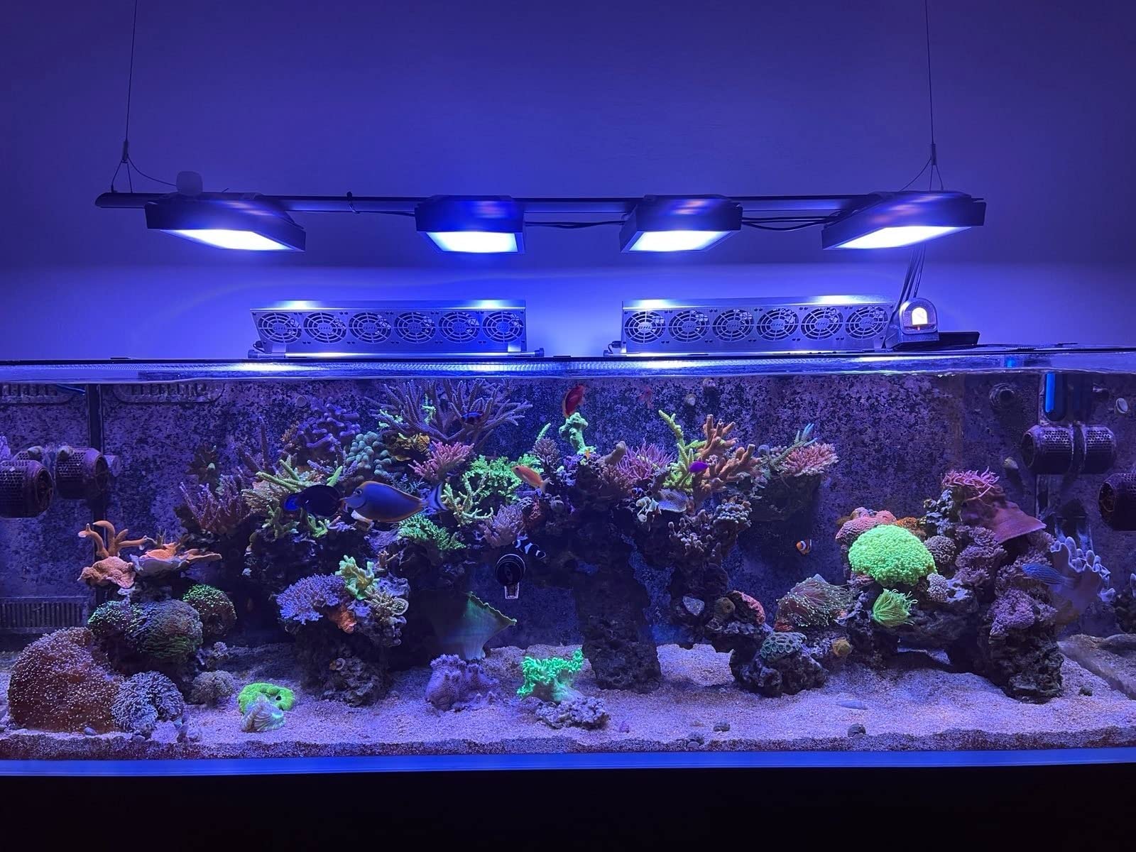 17/mo Finance Unscripted Aquarium Clarifier Keeps Water Clear