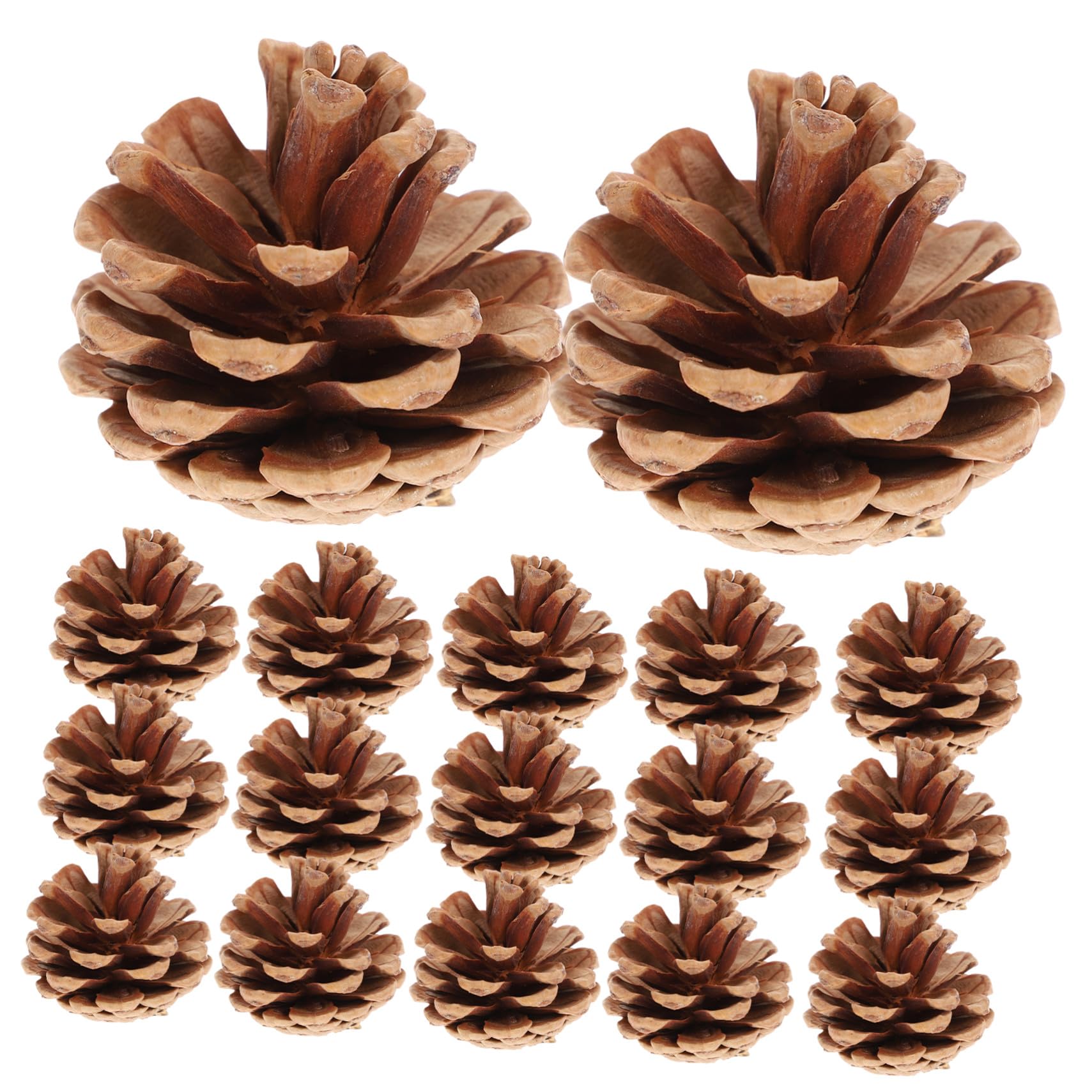 48pezzi Ornamenti Natalizi Pigne Naturali Dimensioni Miste Per Decorazioni Festive e Artigianato Marrone