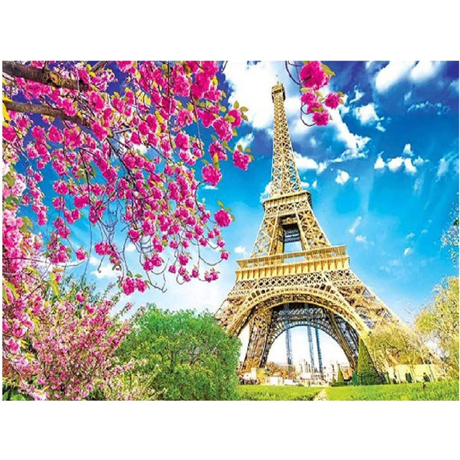 DIY Diamond Painting Kit Completo Drill, Luna della Torre Eiffel kit per Pittura Diamanti Punto Croce,Strass Ricamo pittura diamanti Arti Artigianali,Decorazione per Casa Pareti(square drill)50x70cm