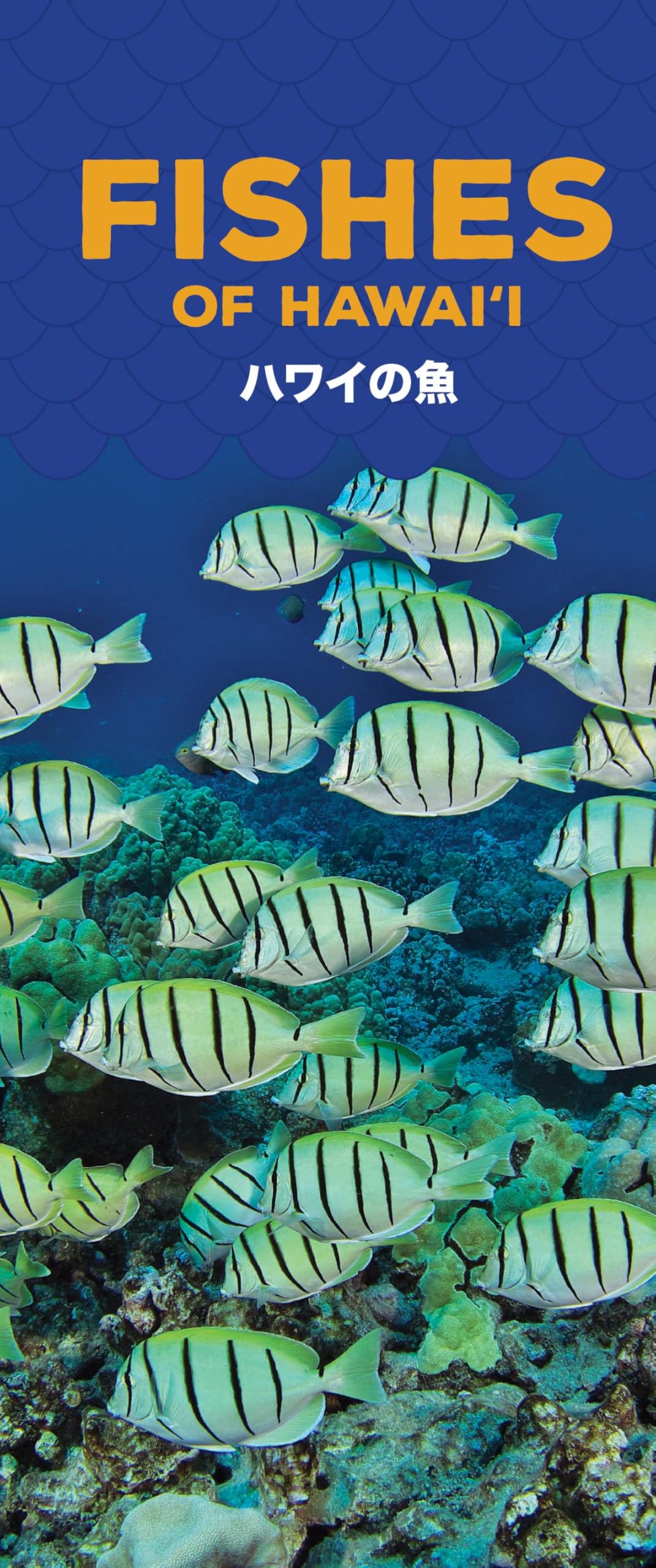 Fishes Of Hawaii Seale, Andre; Stender, Keoki and Nakata, Hiroshi