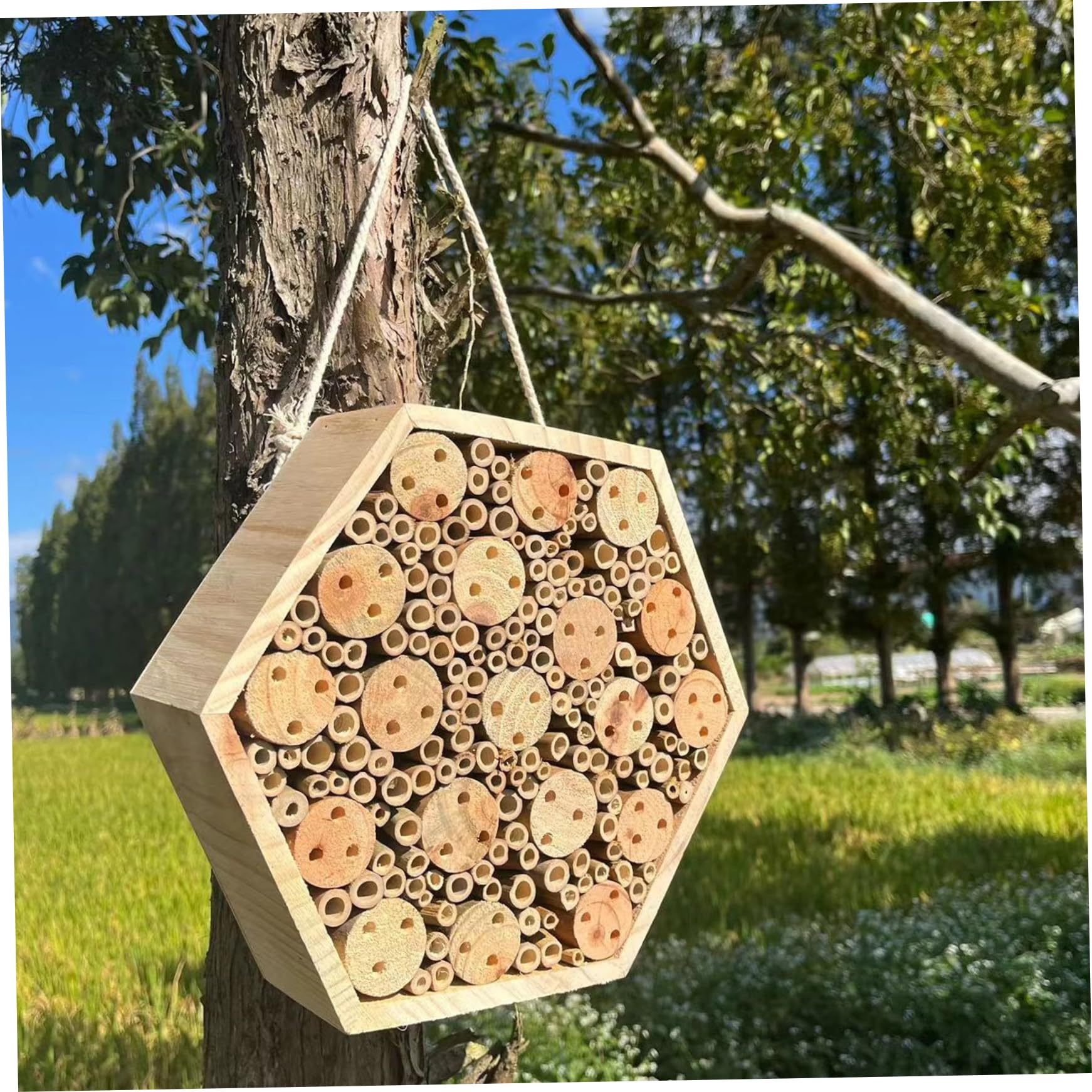 Hotel per insetti esagonale in legno casetta per da giardino Hotel naturale con corda per appenderla casetta per muratrici da esterno per attirare gli impollinatori decorazione per il giardino