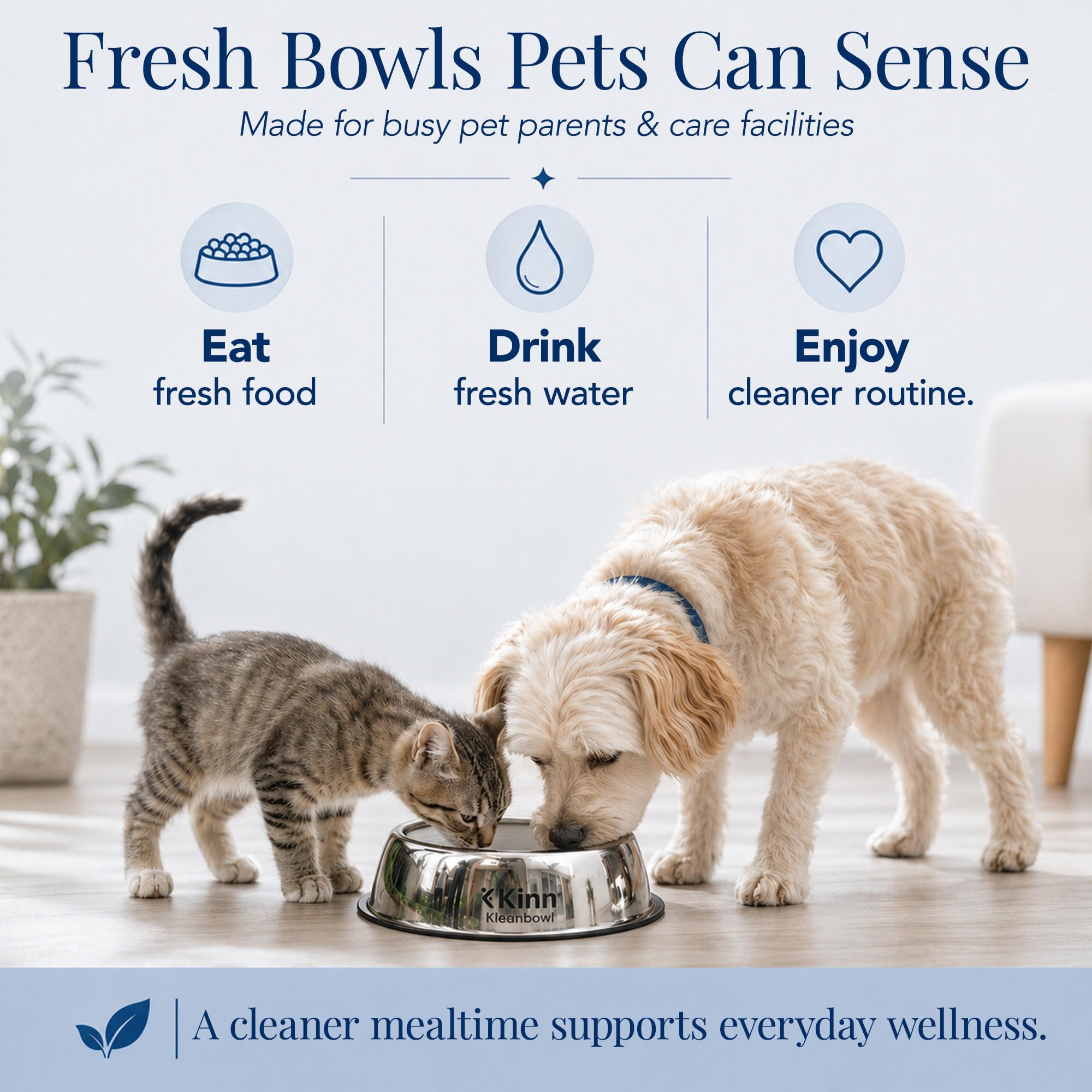 Kinn Kleanbowl Nourish-Pet zapasowe karmy, 227 g, 50 sztuk