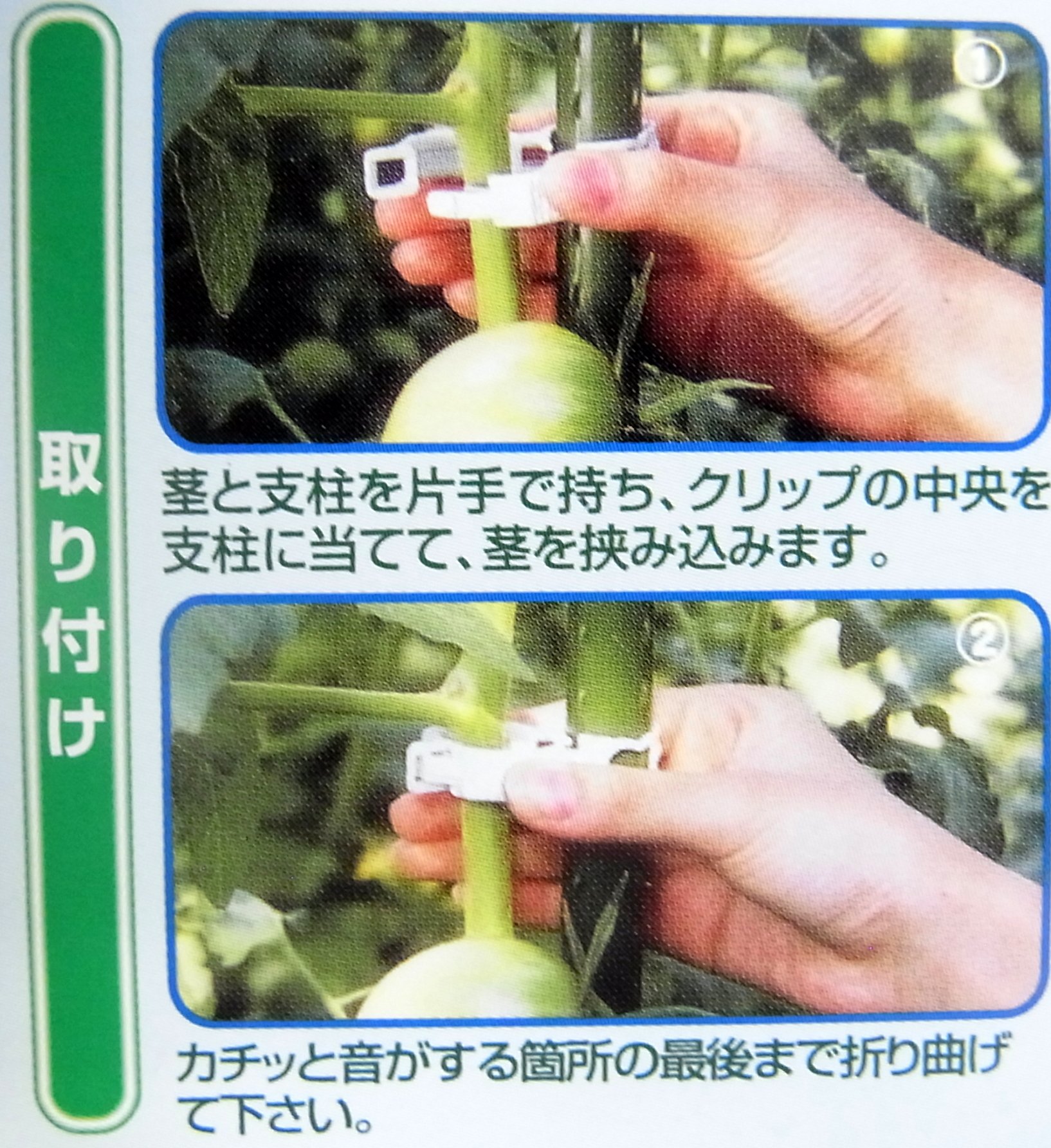 Amazon | シーム しちゅうキャッチ 支柱径20ミリ用 24ケ入 | 支柱