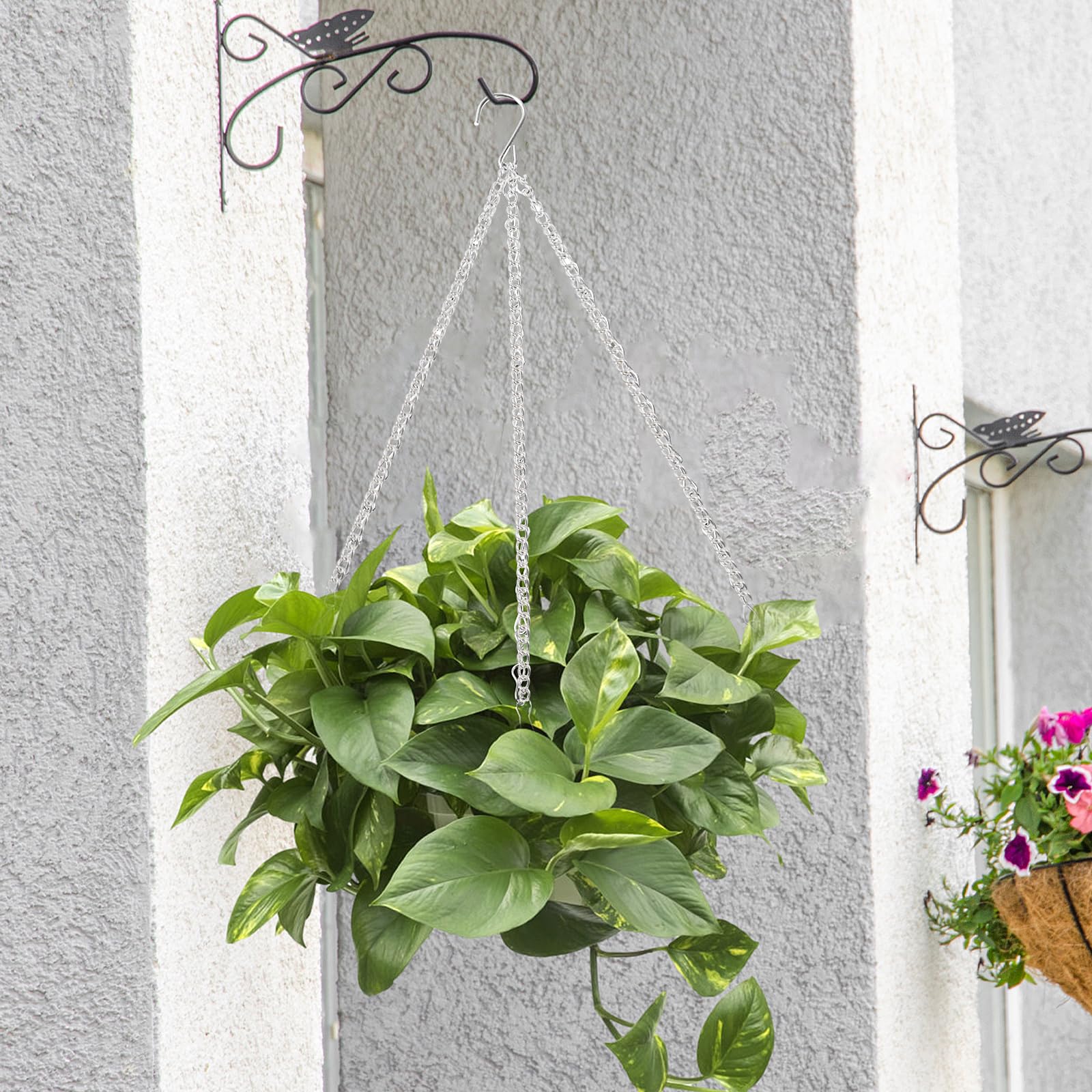 Amazon | Sフック 植物吊り下げ用 4個パック 10.1インチ シルバー