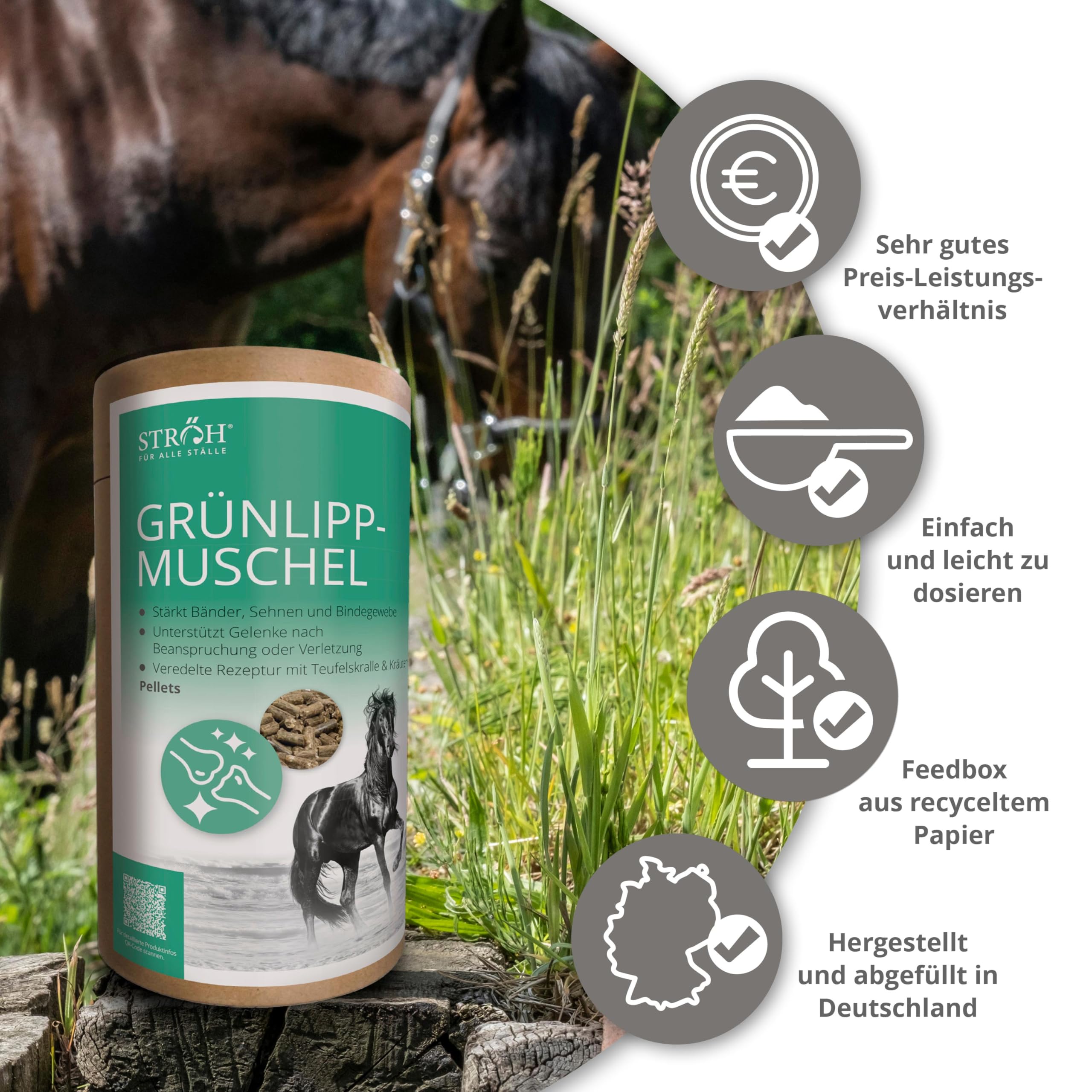STRÖH Grünlippmuschel Pellets für Pferde - 1,3 kg Feedbox Dose - Natürlich