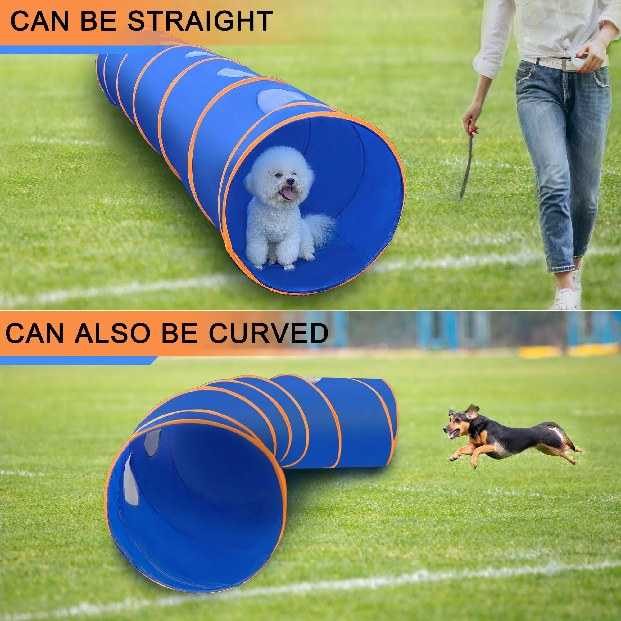 Agility-Tunnel für Hunde, 3 m, reißfester Oxford-Tuch, Trainingstunnel für alle Rassen, Innen- und Außenbereich, mit 4 Heringen und Tragetasche (Blau + Orange)