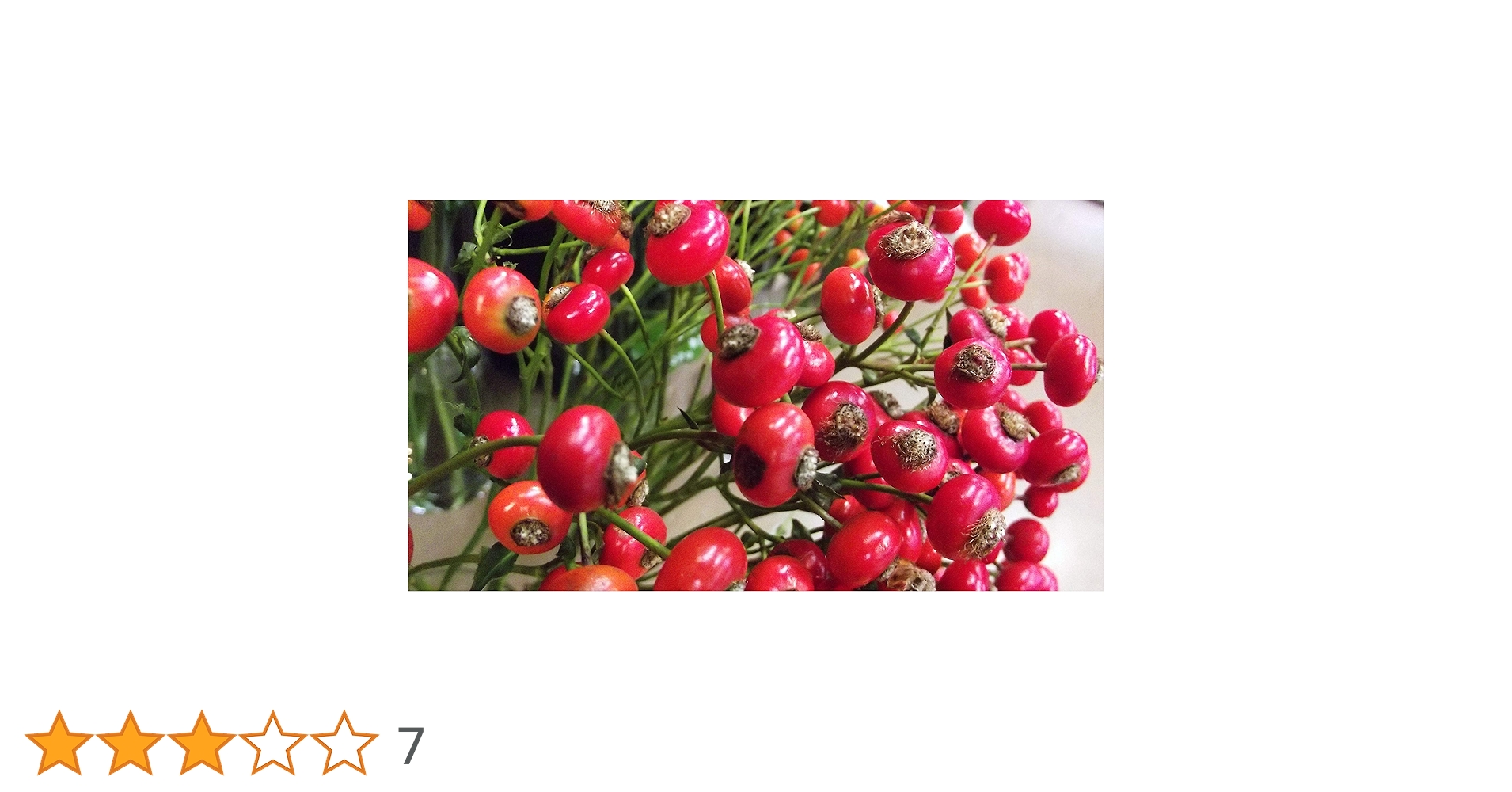 Amazon.co.jp: ITANSE ローズヒップ センセーショナル