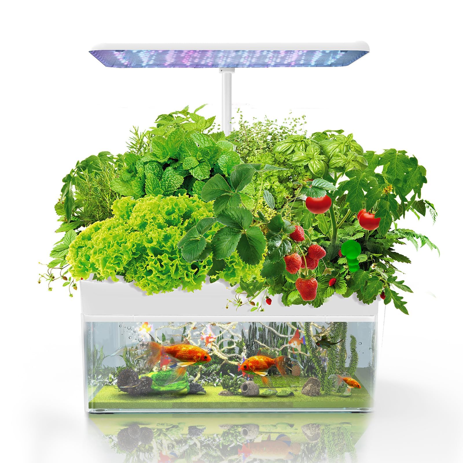Hydroponics Growing System With Aquaponic Fish Tank, 12 Pods Indoor Herb Garden System, Automatic Timer For 3 Growing Modes, Herb Garden Kit With LED Light, Silent Water Pump, Adjustable Height