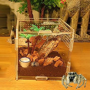 MANON ROSA Jumping Spider Enclosure - Acrylic Reptile Terrarium Box Kit with Dropper Tongs Ecological Habitat Decor Accessories for Tarantulas Scorpions Bug Insects Mantises White