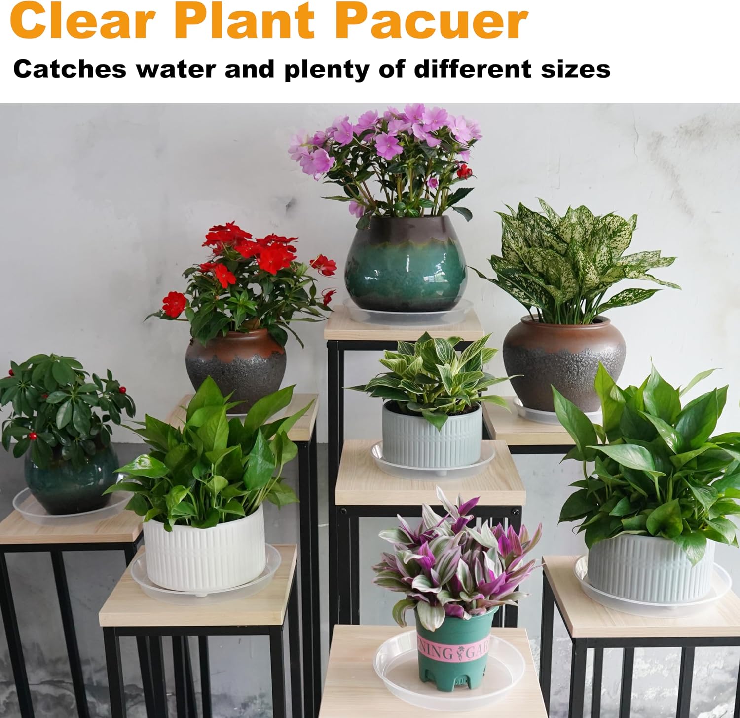 LWALRS Plant Saucer Tray 12 inch 2 Pack Plastic Plant Trays Saucers for Indoors Outdoor, Heavy Duty Drainage Drip Water Trays for Planter Pots Flower, Round Pebble Tray, Pots Base (12", Clear) image 3