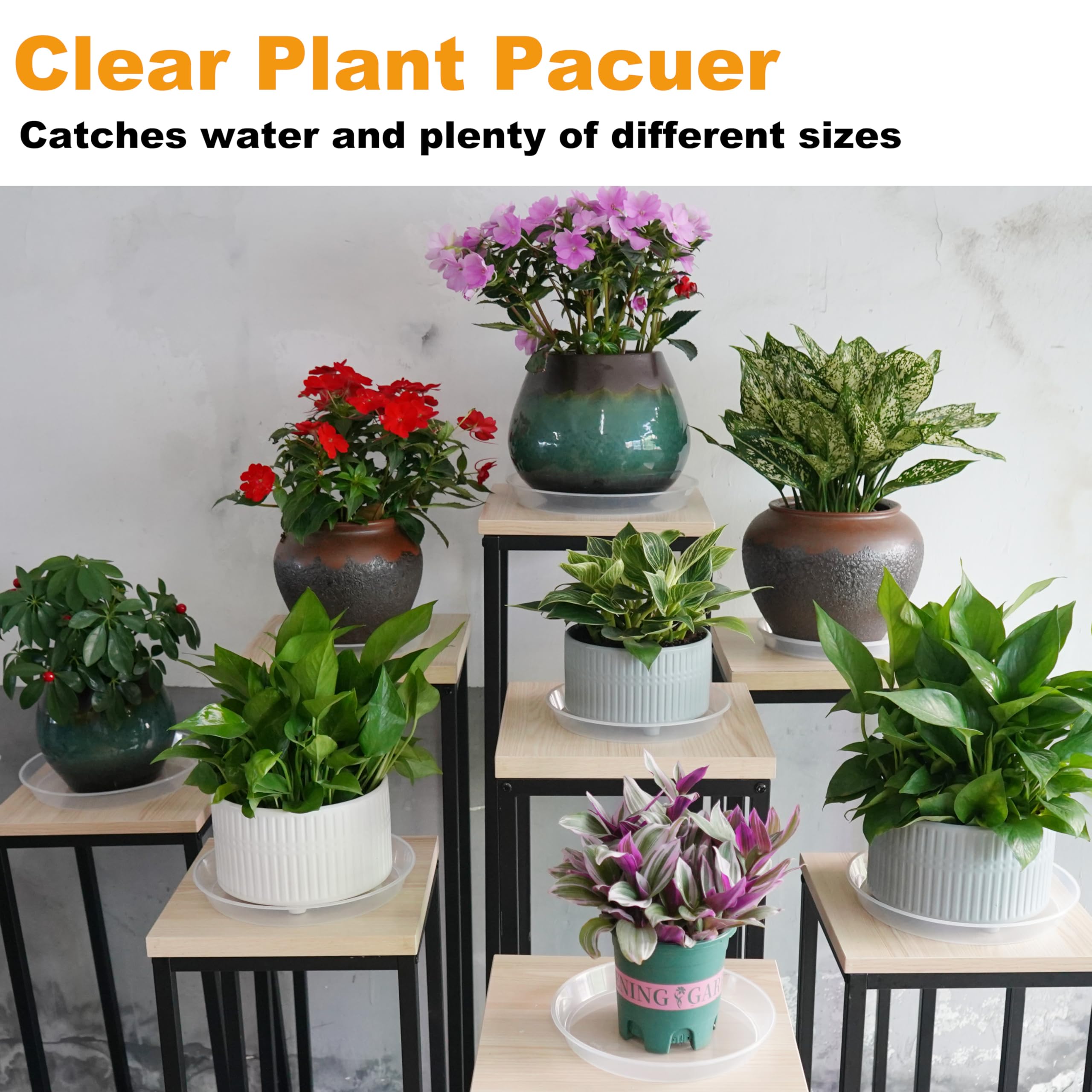 Plant Saucers - 2 Pack, Clear Drainage Trays -3 Plant Saucers - 2 Pack, Clear Drainage Trays -3