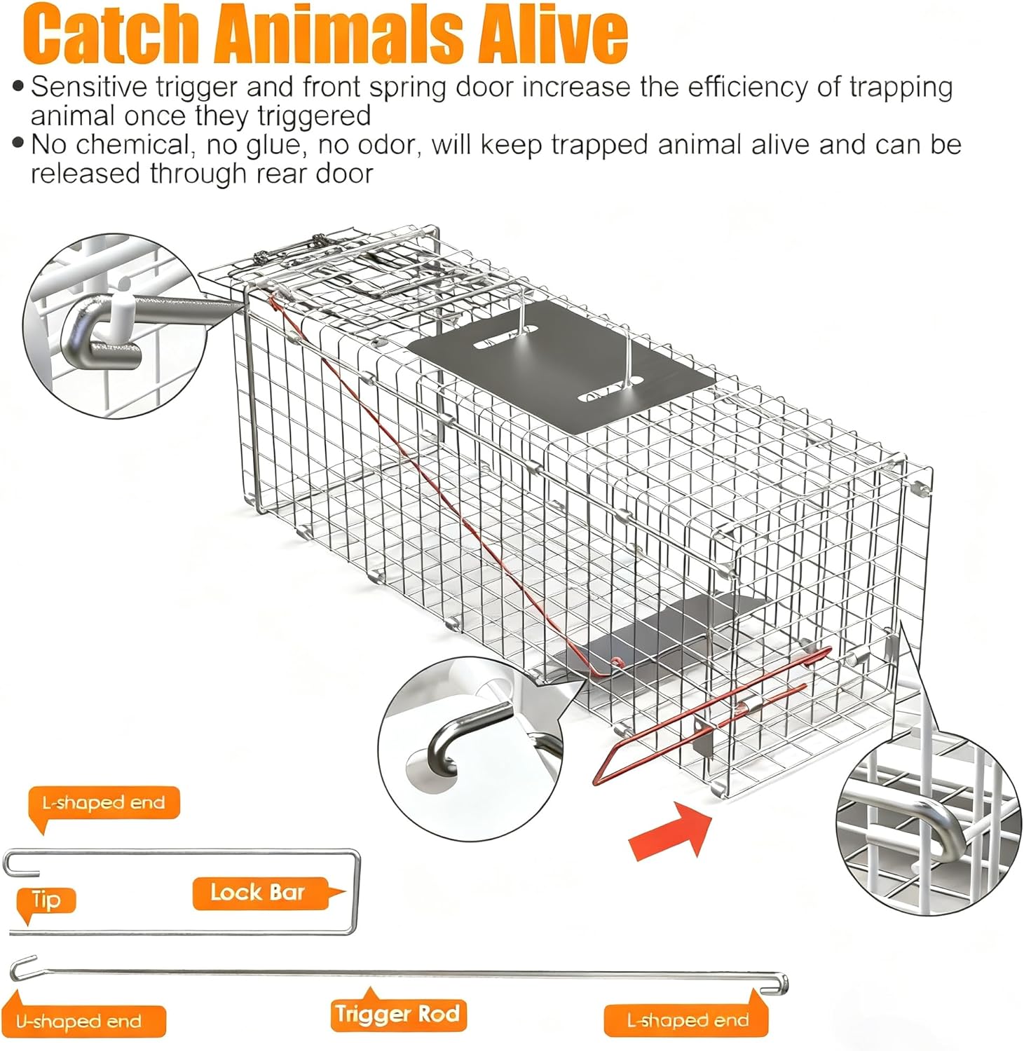 Live Animal Trap Cage Humane Collapsible Cat Trap Cage 1-Door Folding Skunk Traps for Catch and Release Small Raccoons Beavers Squirrel Groundhogs Cats Armadillos Skunks