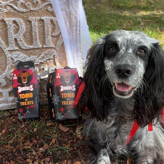 Denzel's Limited Edition Halloween Dog Treats - Tomb Gift Box - includes 3 Spooky Dog Treats