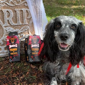 Denzel's Limited Edition Halloween Dog Treats - Tomb Gift Box - includes 3 Spooky Dog Treats