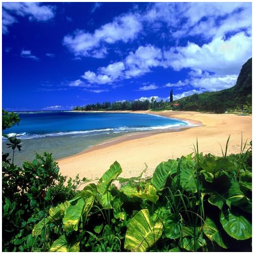 Kauai Hawaii Guide