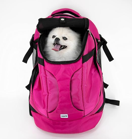 backpack for dogs amazon