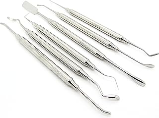 6 Pcs Periosteal Kit Dental Instruments Professional Elevator Implant Instrument