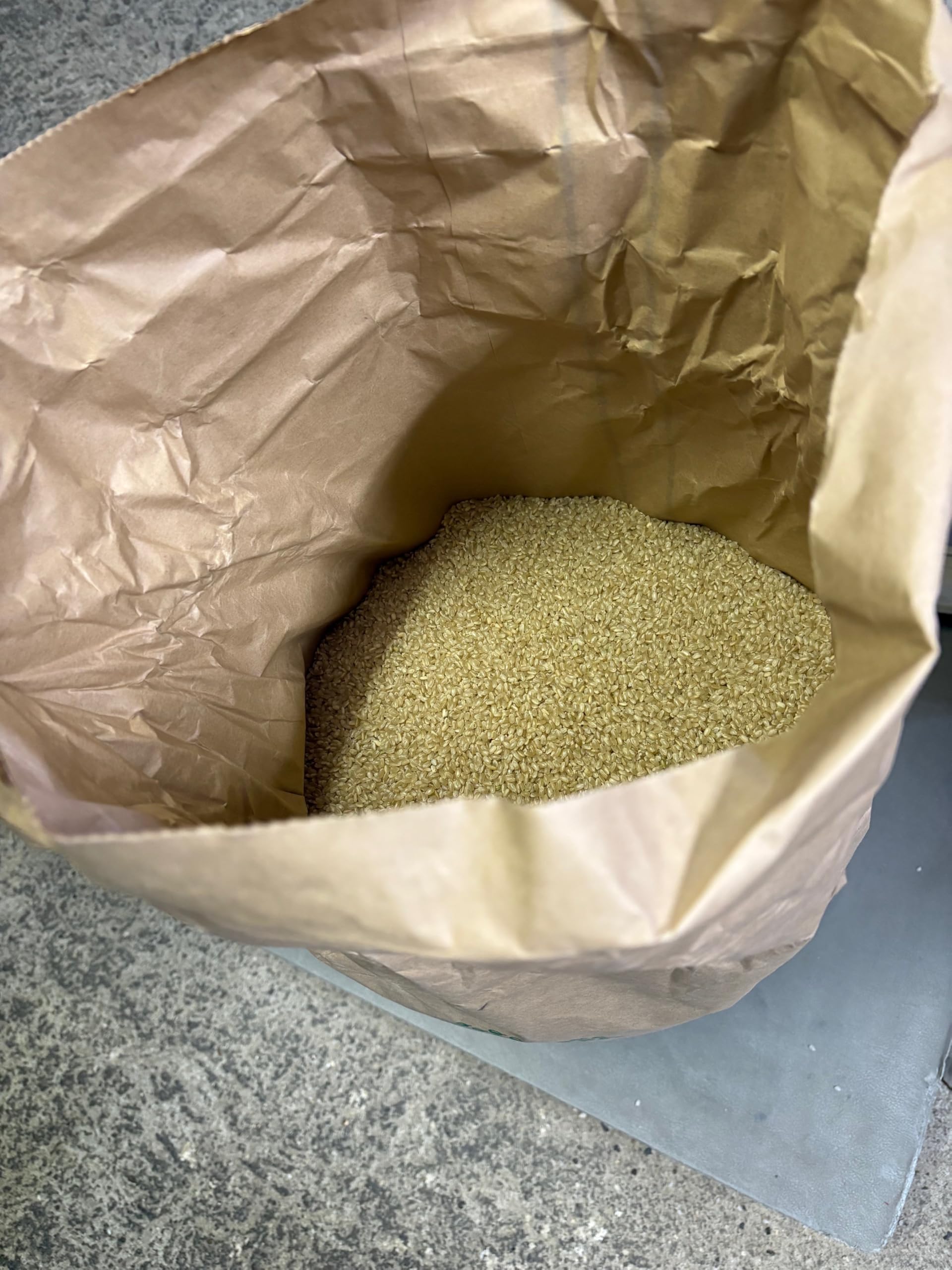 Amazon.co.jp: 山口県産 恋の予感 5kg 令和7年産 : 食品・飲料・お酒