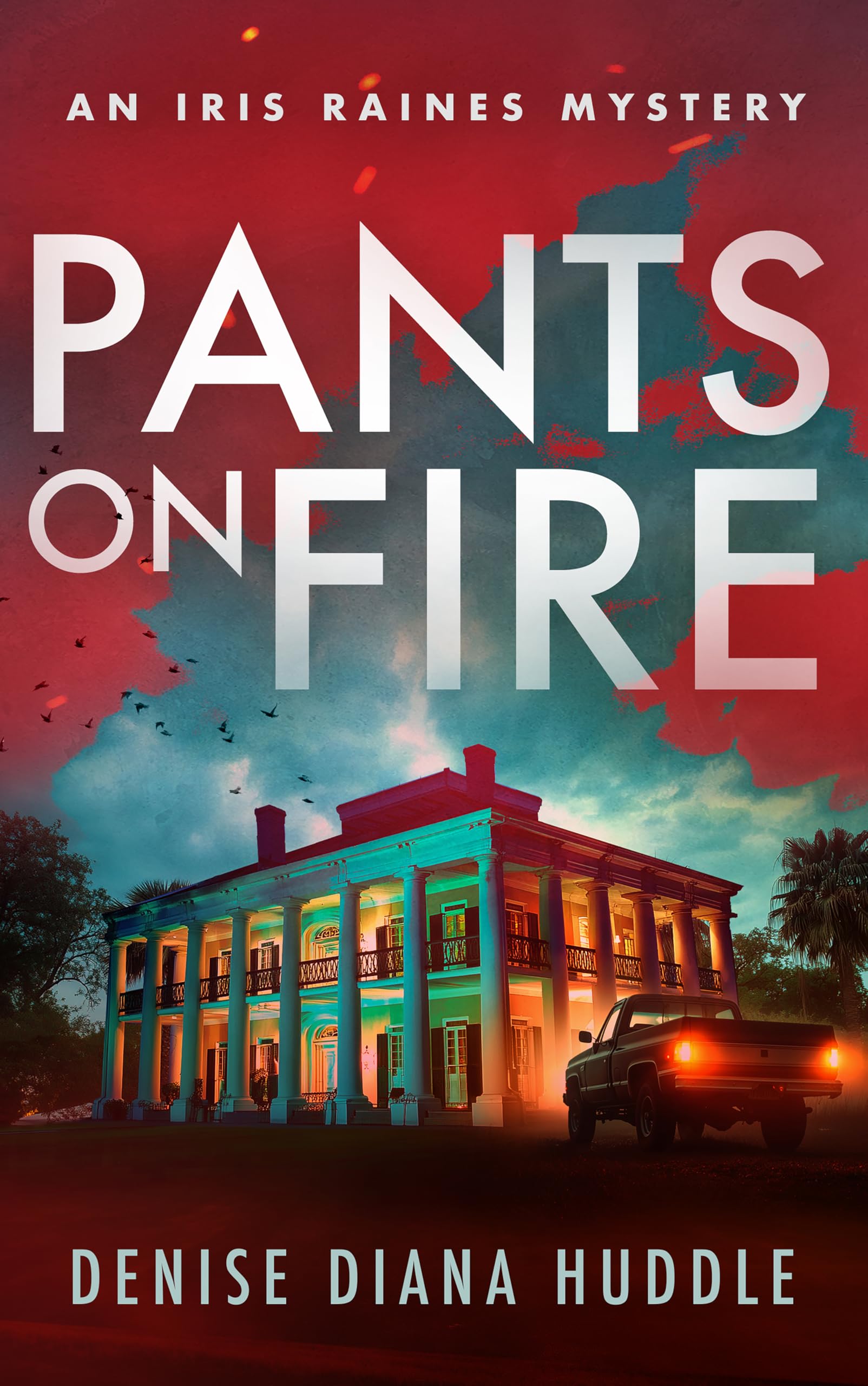 Pants on Fire (Iris Raines Mystery Book 2)