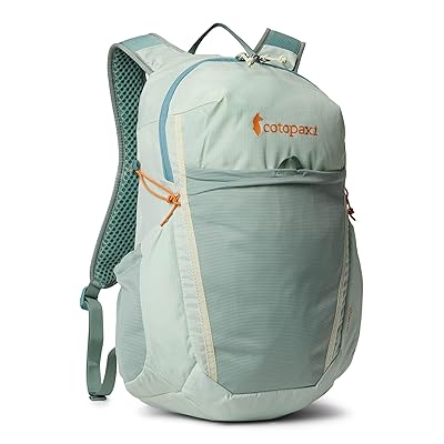 Cotopaxi Elqui 18 L Backpack Backpack Bags Foam and Silver Leaf, Mesh/Nylon/Polyester