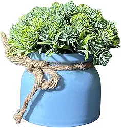 Planta Decorativa Artificial Suculenta em Plástico com Vasinho (Azul)