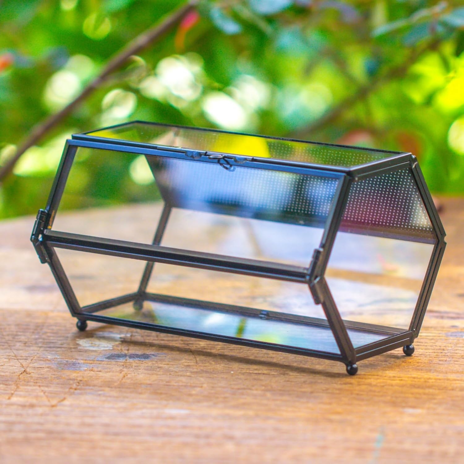 NCYP Small Glass Terrarium Enclosure with Mesh & Door for Tiny Beetle, Jumping Spiders, Hexagon Vented Glass Terrarium 6.8'' x 4.1'' x 3.6'', Indoor Decor, Black (Plants Not Include)