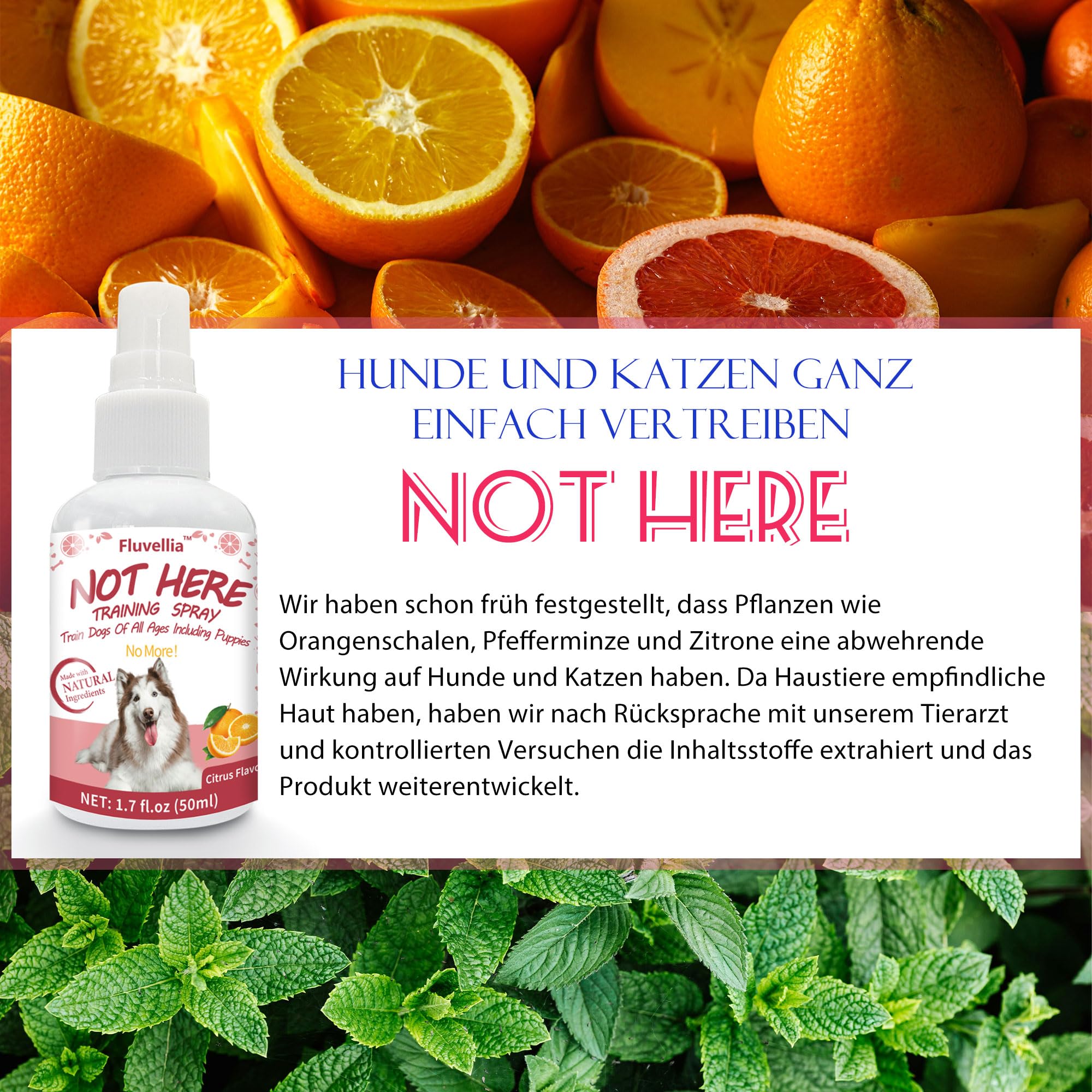 Lot de 2 sprays d'entraînement pour chien Not Here et Here Potty - Ingrédients naturels - 2 flacons pulvérisateurs de 50 ml - Pour chiots et chiens adultes - Arôme d'agrumes et de menthe