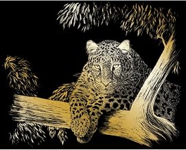 Royal Brush Gold Foil Engraving Art Kit 8"X10", Spotted, White