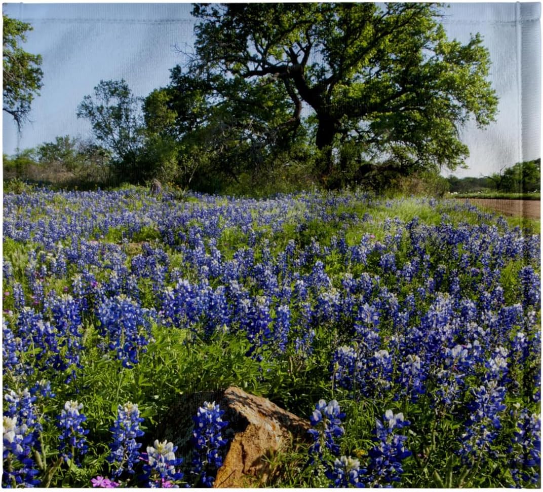 3dRose Texas Bluebonnet Flowers in Bloom, Central Texas, USA - US44 LDI0789 - Larry Ditto 22x30 Bath Hand Pool Towel