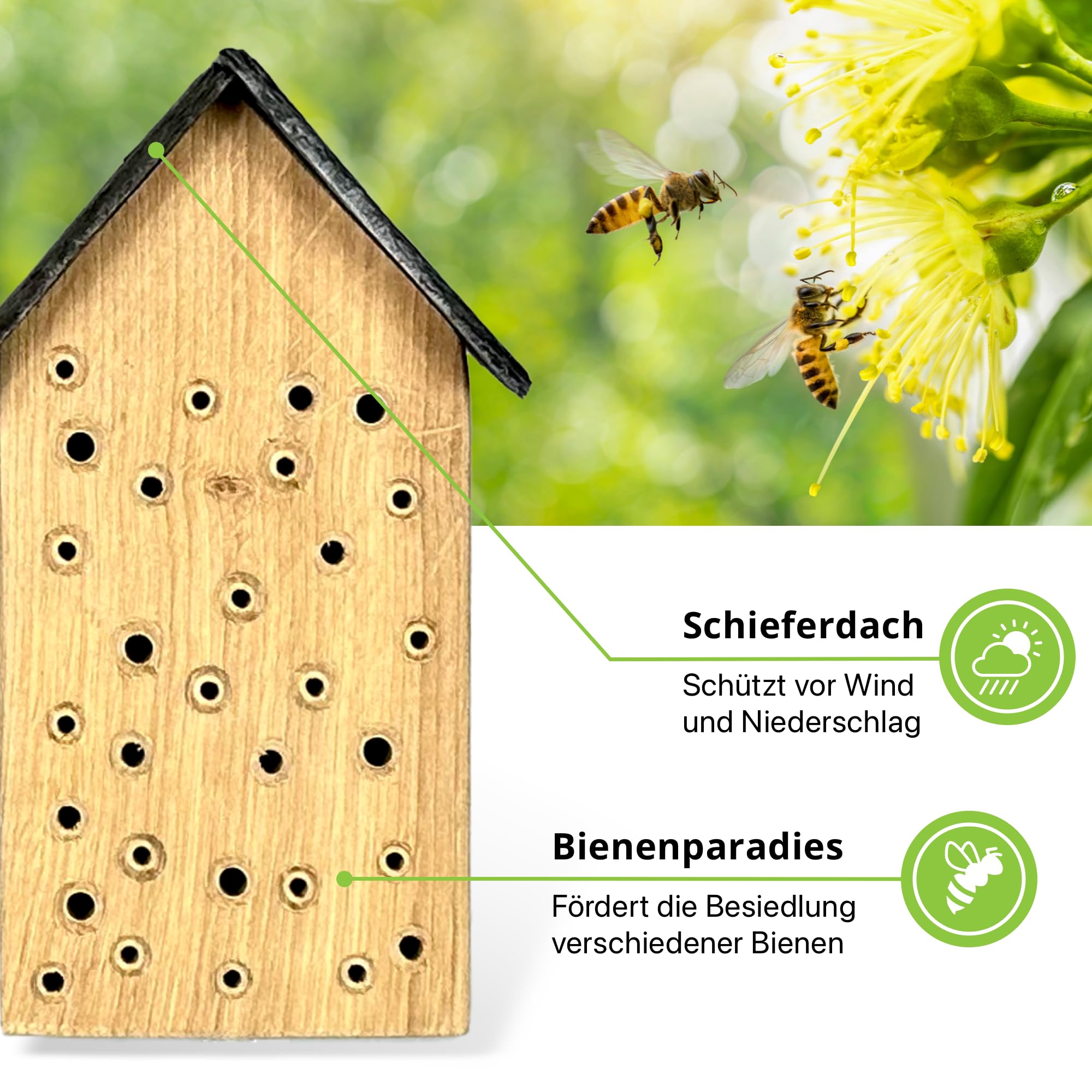 GARTENETAGE Geschenkset Bienenoase – Wildbienenhotel aus Eichenholz mit Schieferdach & Blumenwiese Mischung – Perfekt für Garten & Balkon – Nachhaltige Nisthilfe für Bienen & Bestäuber
