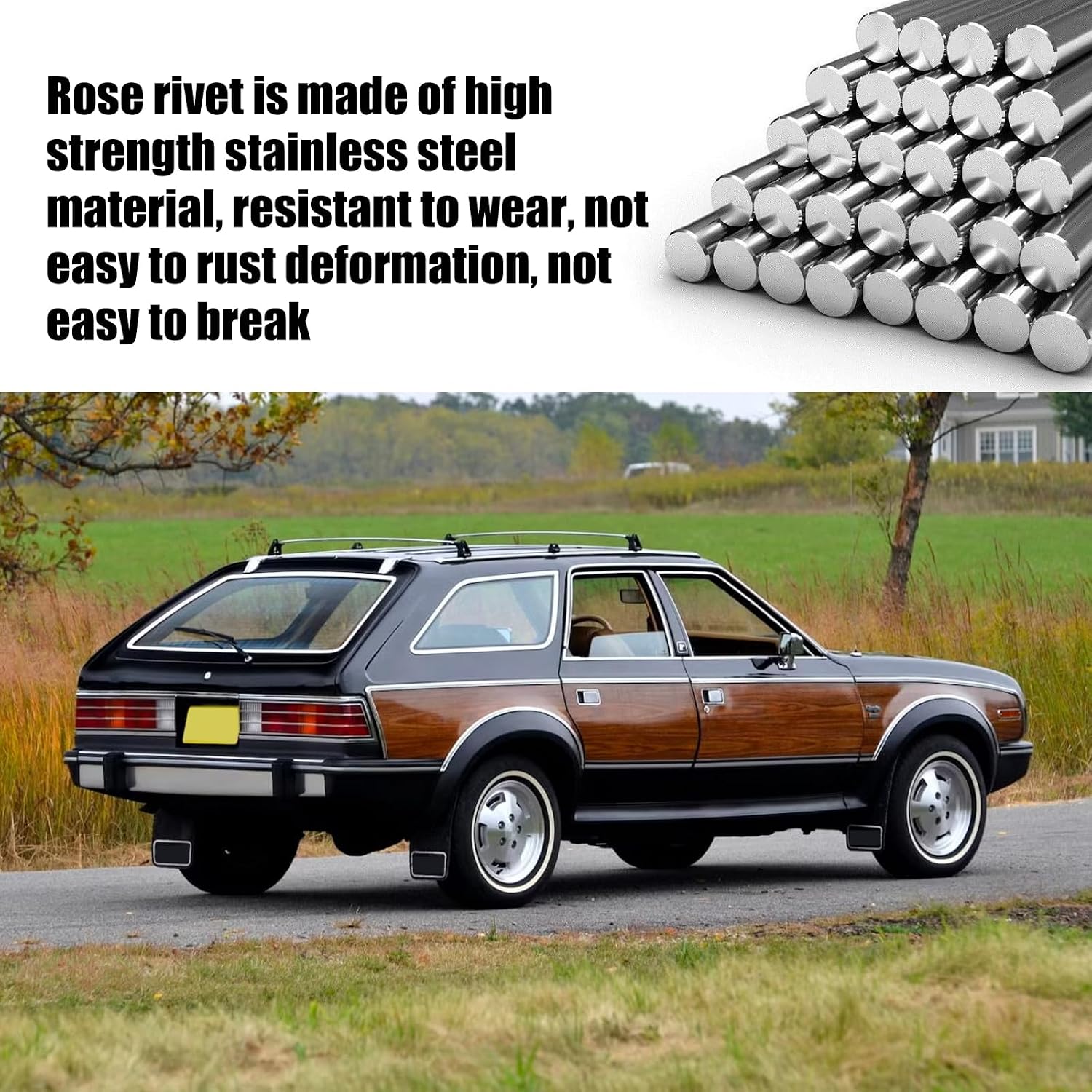 8PCS Nos Dash Rosette Rivets Stainless Steel Fit for GM Ford AMC VIN Door Tag with a Storage Box (Gold)