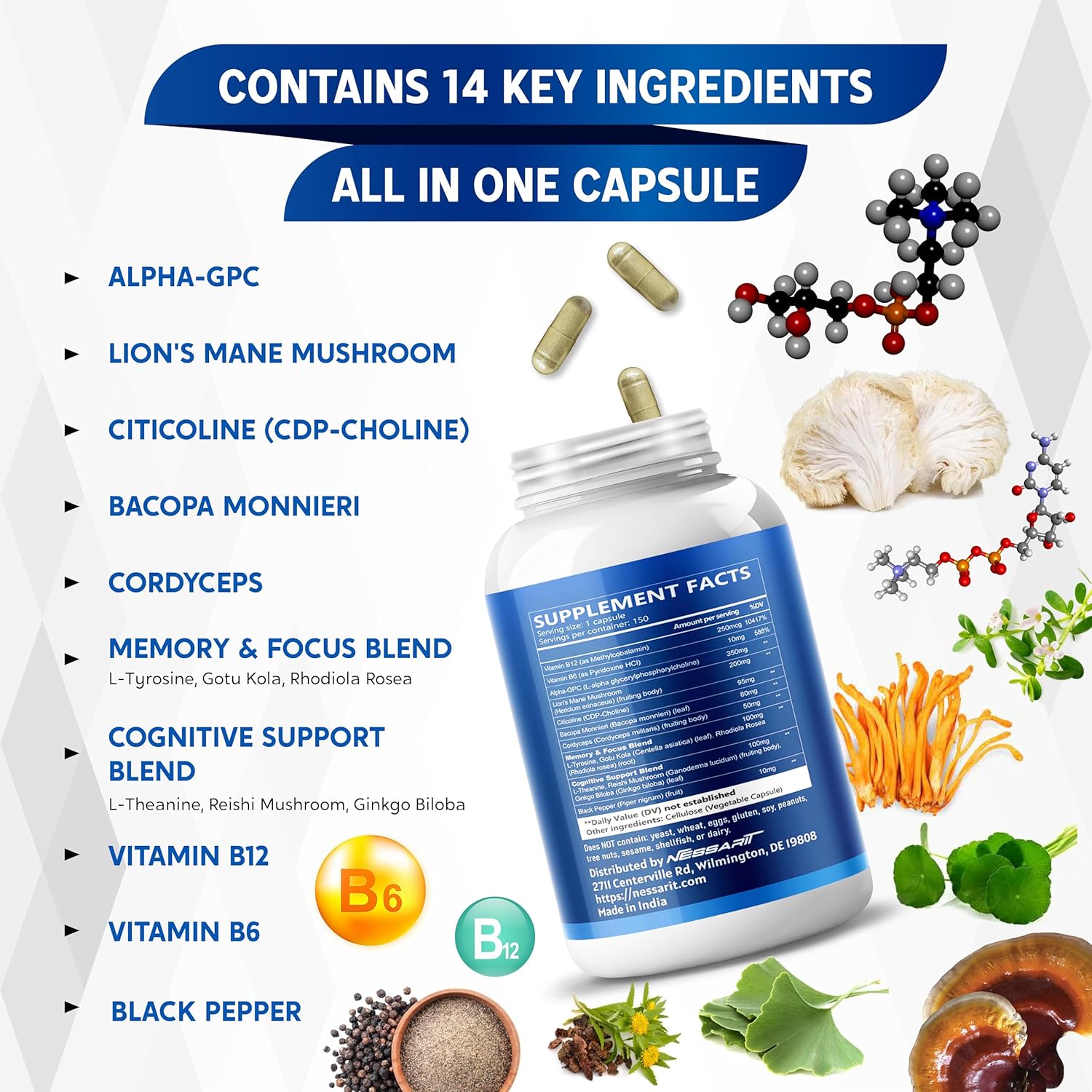 Liposomal Alpha-GPC, Lion’s Mane, Citicoline, Bacopa Monnieri & Cordyceps – Support Memory, Focus & Brain Health – 150 Capsules* - Image 4