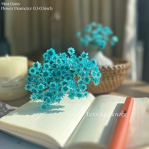 Miniatura 8 de Flores secas naturales brasileñas pequeñas  Estrella  Minirramo de manzanilla decorativo de margaritas secas para bodas, arreglos florales,