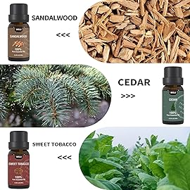 MISIJI Essential Oils Set-Essential Oils for Diffuser for Home, Diffuser Oils Scents for Aromatherapy,Laundry,Candle&Soap Making,Humidifiers 6 X 10ML