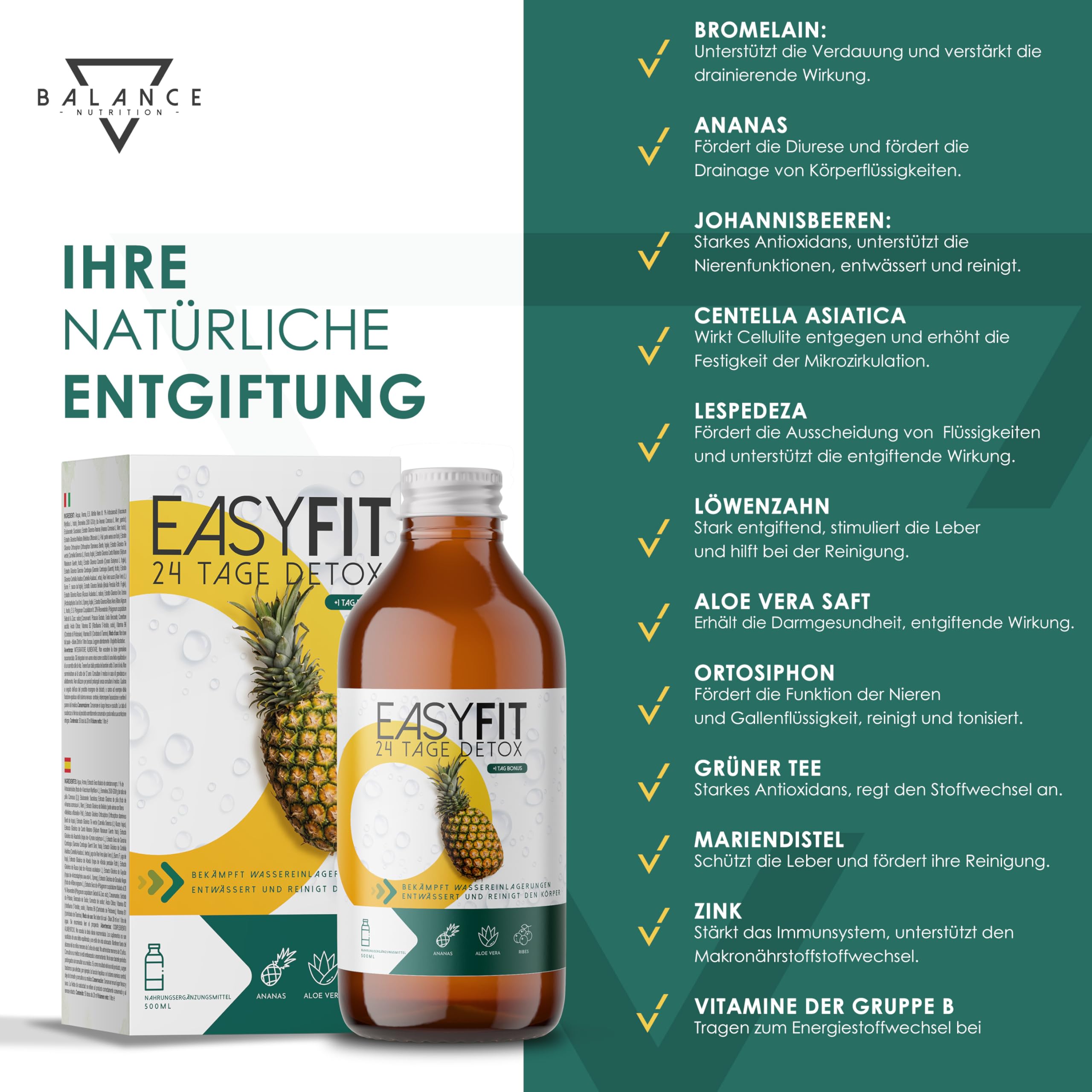 bogenhanf größe Bogenhanf – ruuds