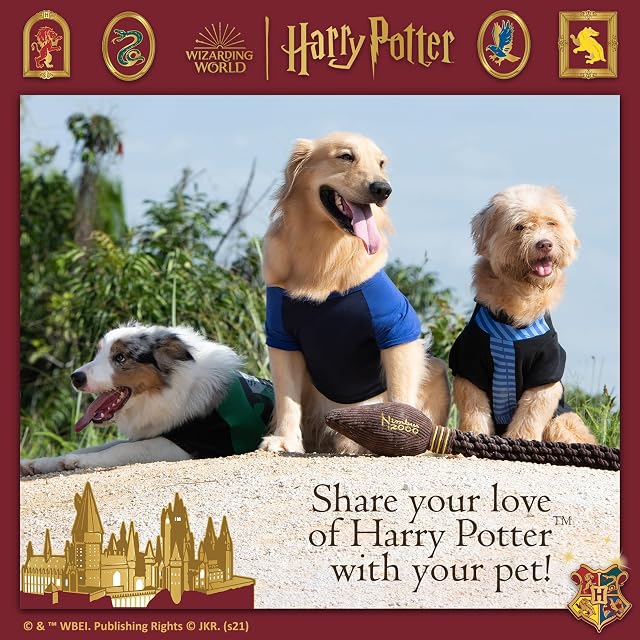 Foto 6 de 6 de Harry Potter Nimbus 2000 - Juguete de Cuerda para Mascotas, 14 Pulgadas, Juguete para Perros Nimbus 2000…