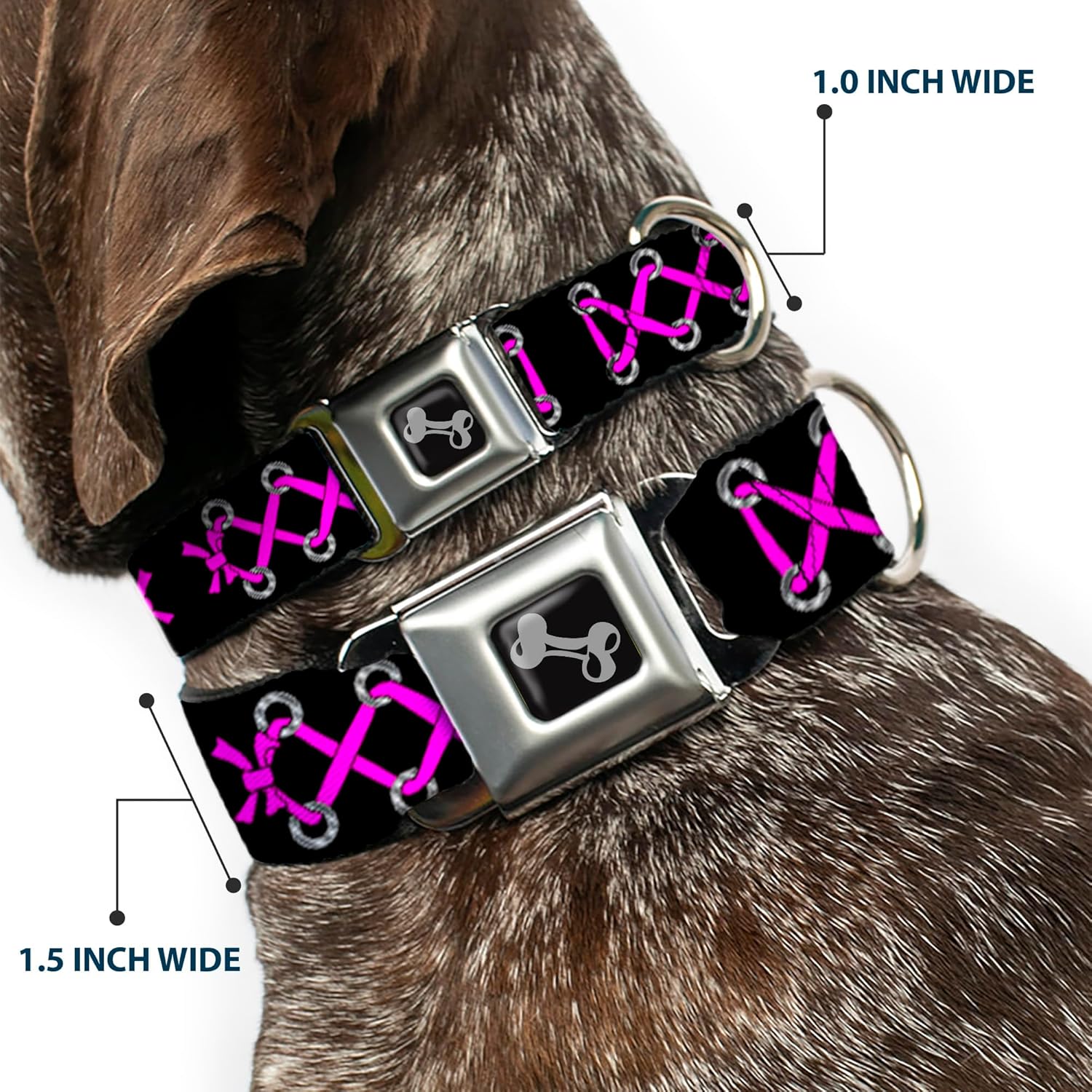 Buckle-Down Corset Lace Up Black/Fuchsia Dog Collar Bone, Medium/11-17"