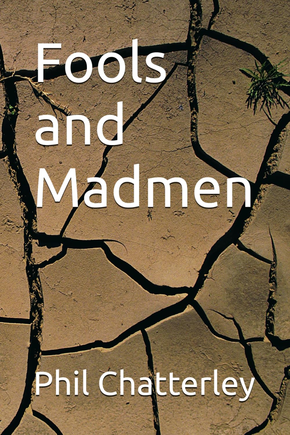 Fools and Madmen