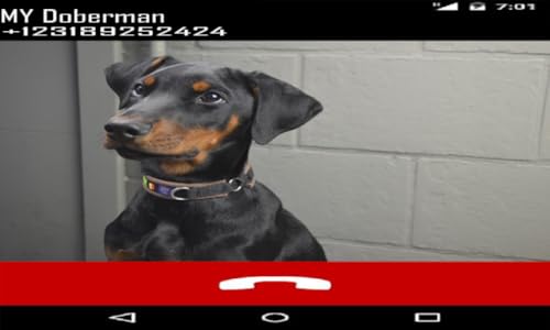 Doberman Fake Call Prank ( Funny Pet Calling Prank ) - Gag fake Prank Call from Doberman Pinscher Do