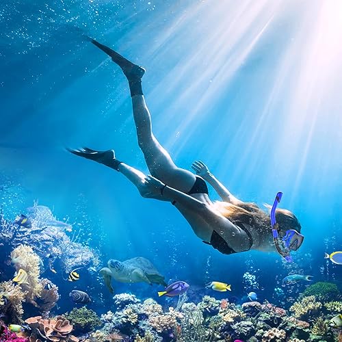 Miniatura 2 de Equipo de esnórquel para adultos, juego de esnórquel seco máscara de buceo, vista panorámica de 180, equipo de esnórquel profesional, máscara de