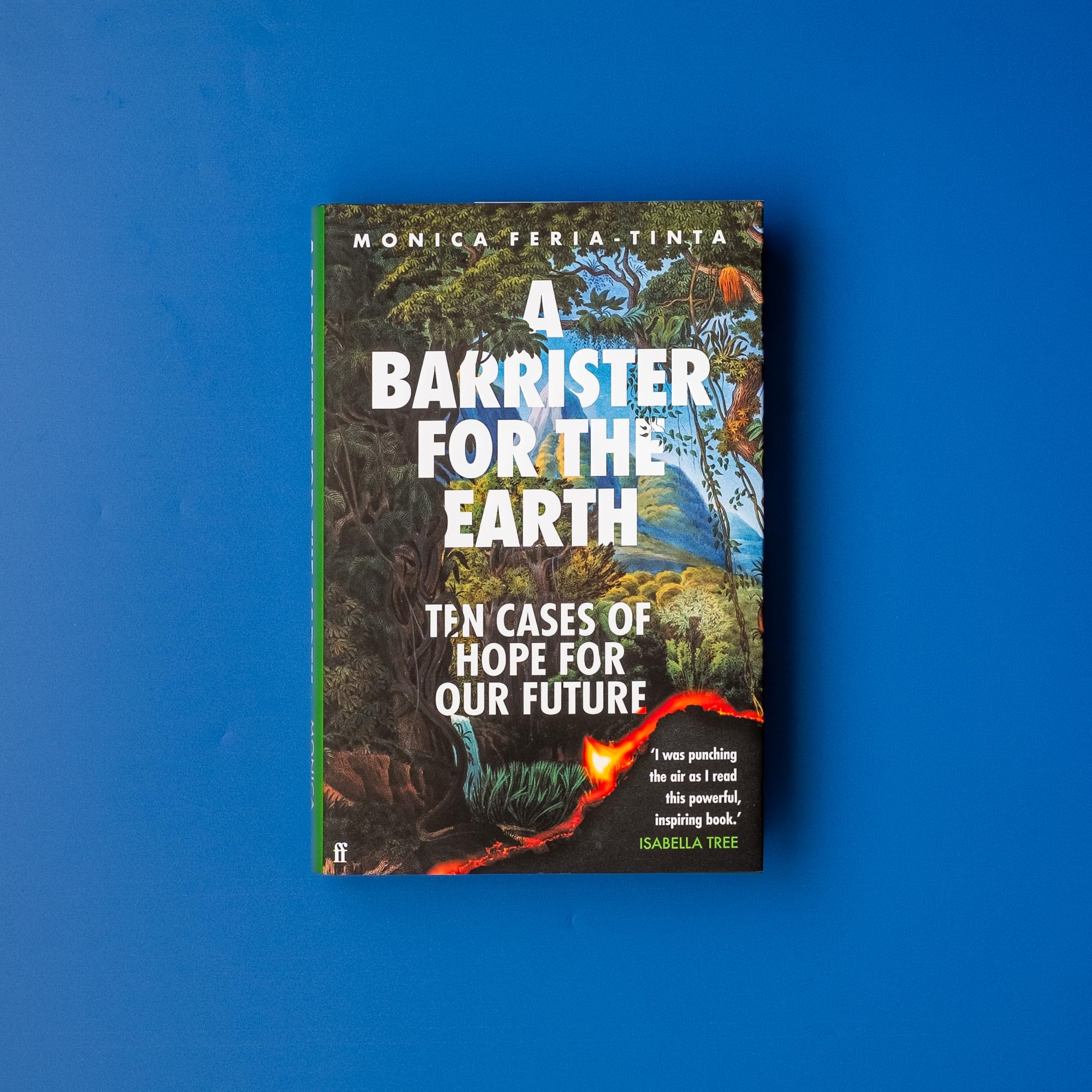 A Barrister for the Earth: Ten Cases of Hope for Our Future