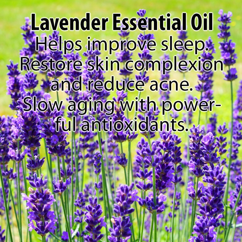 GLIMMER GODDESS Organic Vegan Whipped Coconut Oil & Vitamin E Body Butter With Lavender Lemon, Moisturizing, Anti-aging, Skin Repairing, 8 oz. - Image 5