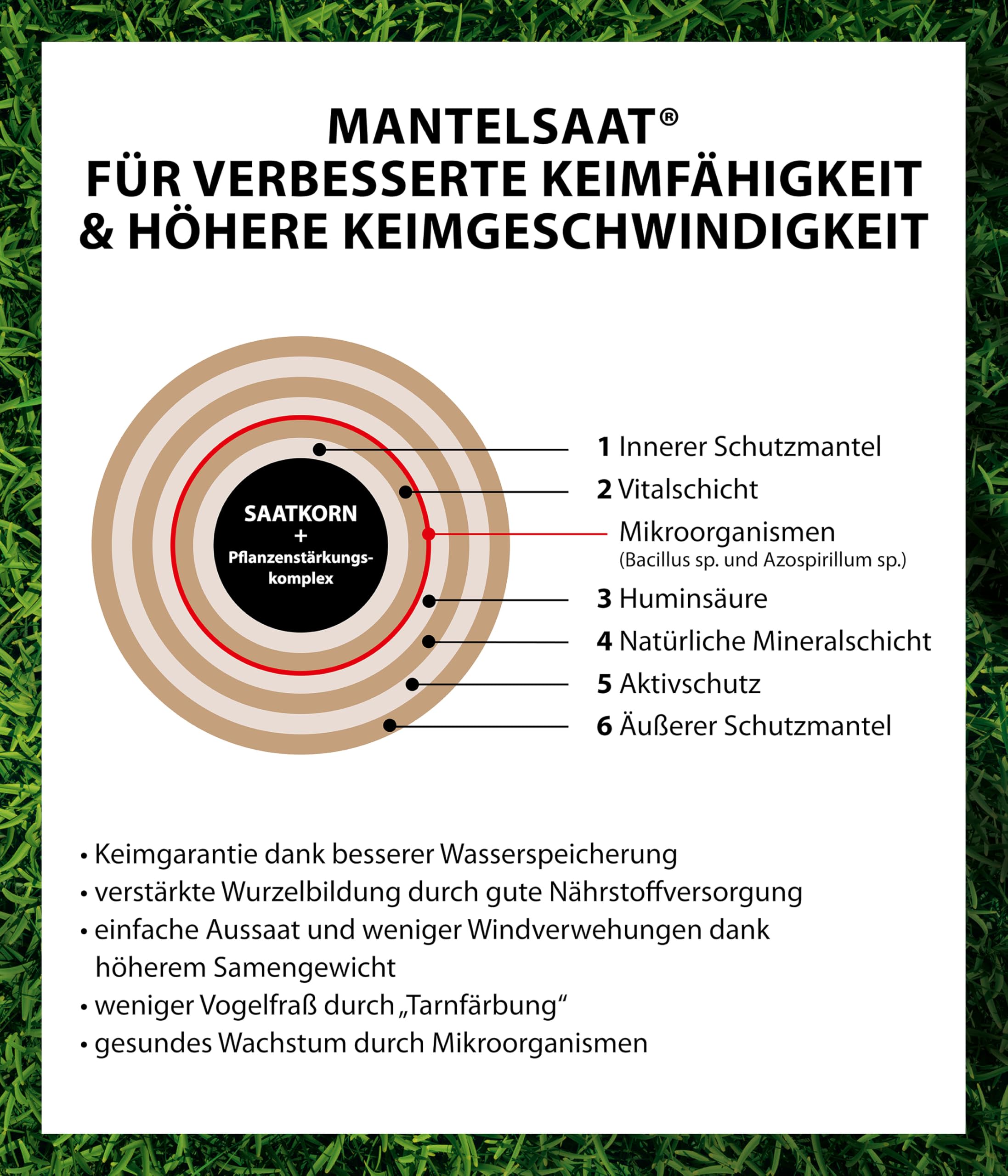Dehner Saatgut Schattenrasen, hochwertige Rasensamen schnell keimend/selbstregenerierend, ideal für schattige/halbschattige Flächen, FSC-zertifizierte Verpackung, 1.25 kg für ca. 50 m² | pflegeleicht, schnell keimend, selbstregenerierend, ideal für schatt