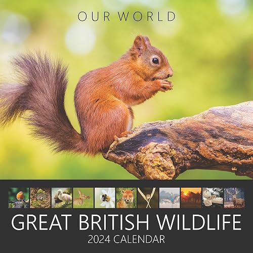 Our World Great British Wildlife Wall Calendar 2024 - Family Planner &amp; Daily Organiser with Monthly Wildlife Imagery - Slim Design 2024 Wall Planner