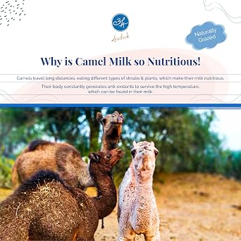 Aadvik Camel Milk Powder | Freeze Dry | Pure & Natural | 200g